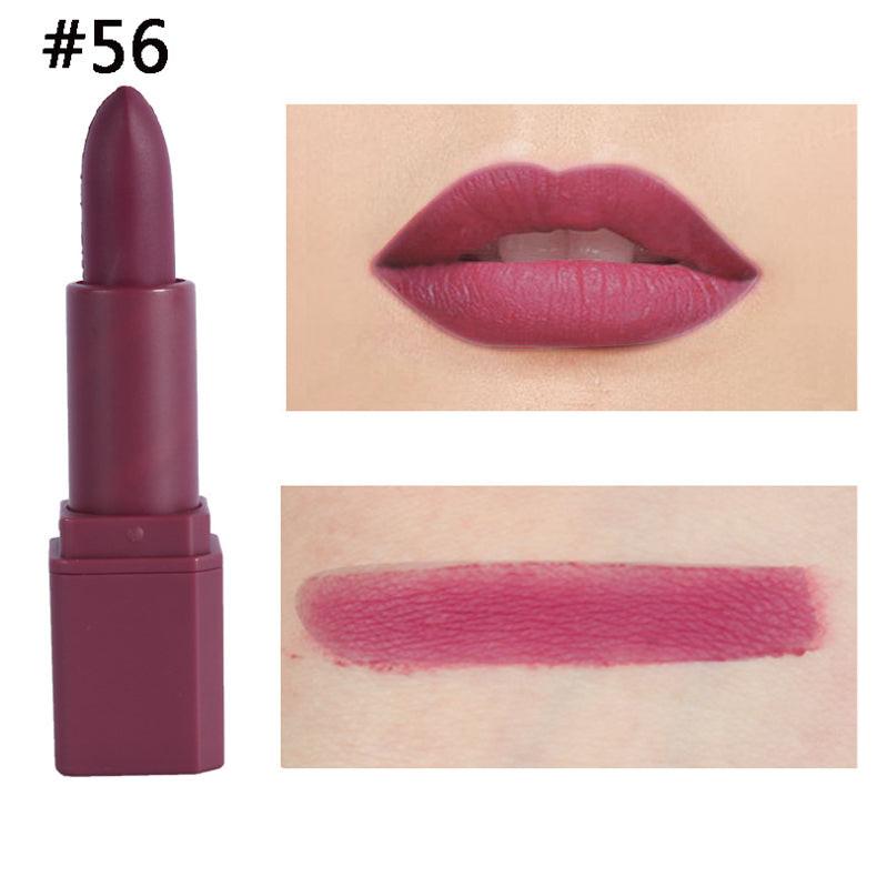 Square Tube Matte Lipstick Matte Square Tube Lip Makeup.