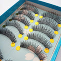 Ten Pairs Of New Fashion and Simple False Eyelashes.