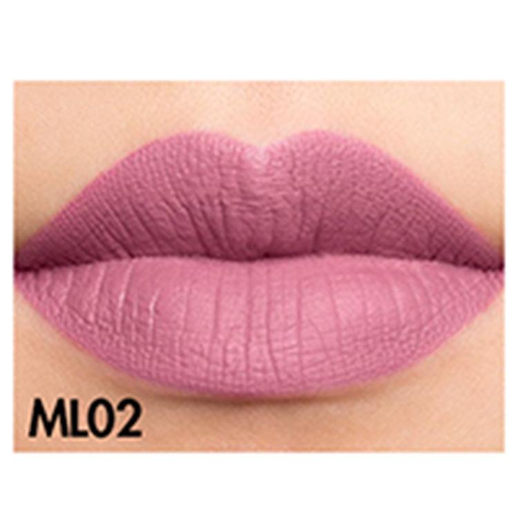 Matte Moisturizing Lip Gloss Waterproof.